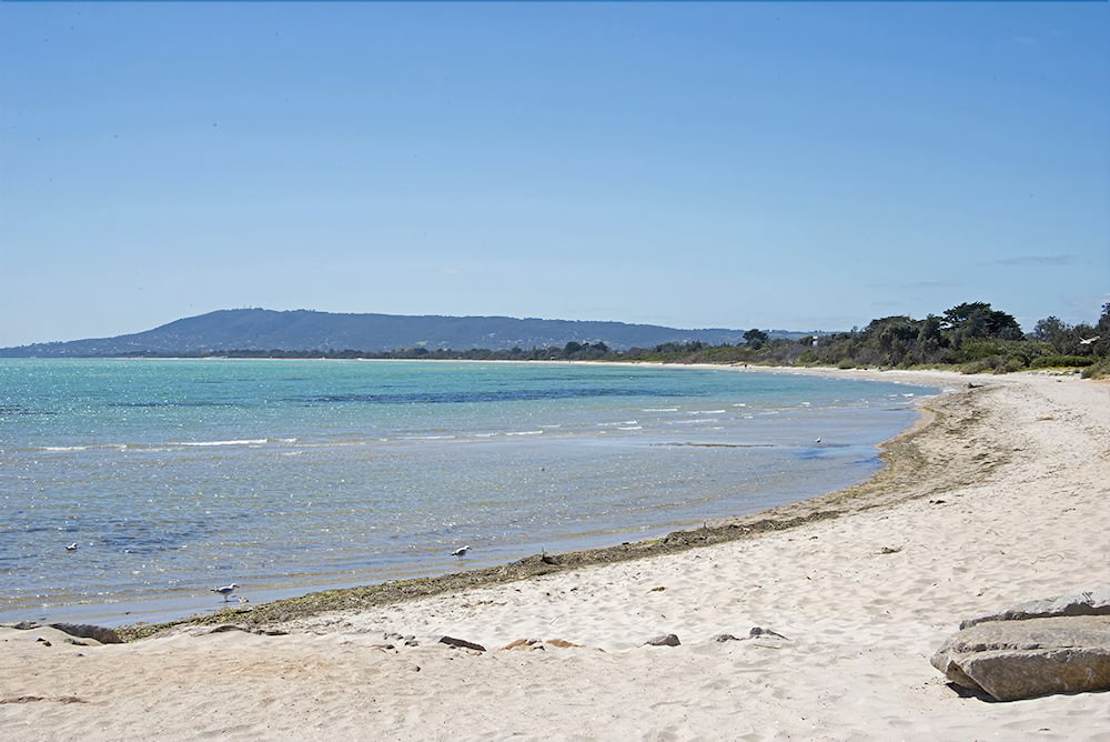 Sea Ranch
