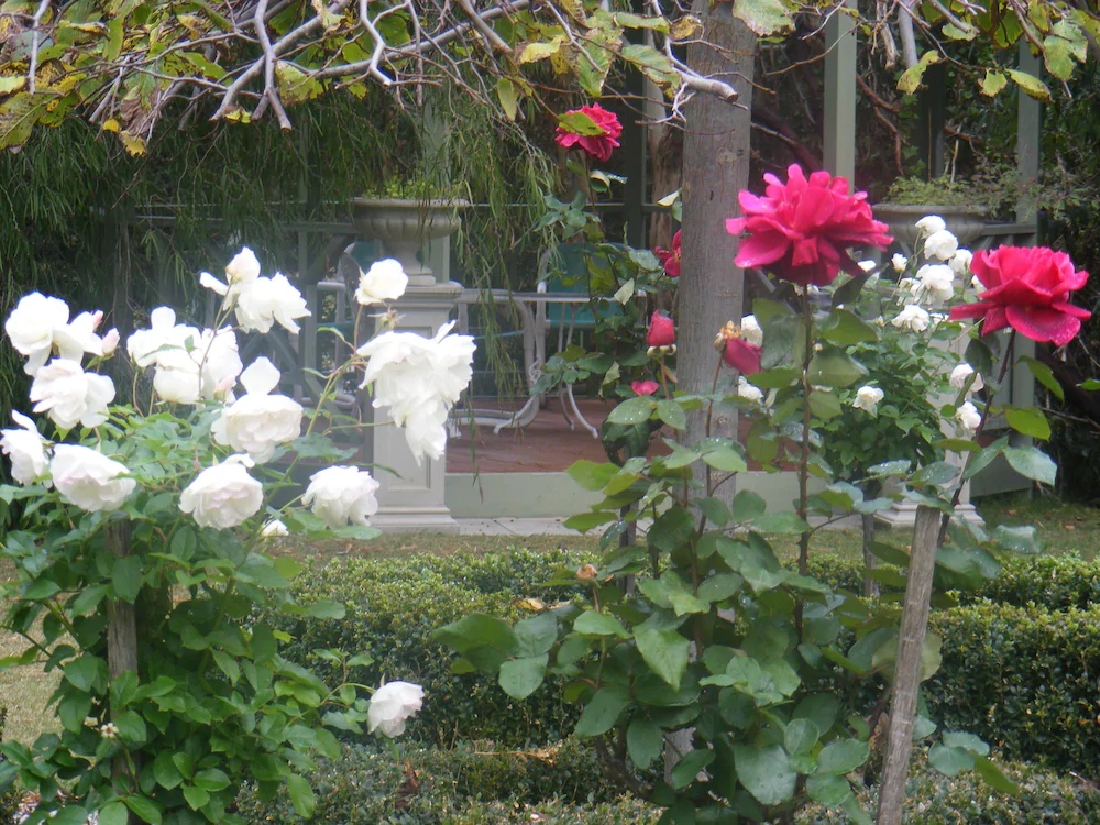 Weeroona Bed & Breakfast