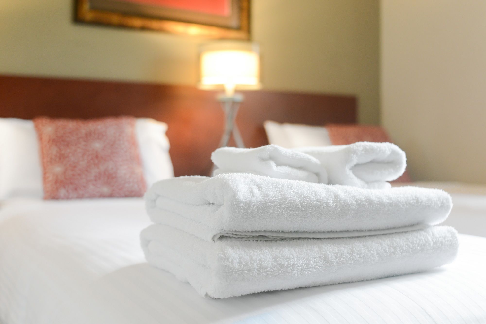 Boutique Stays - Sandyside