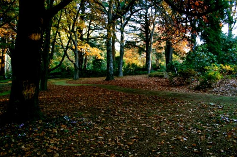 Moulton Park Estate