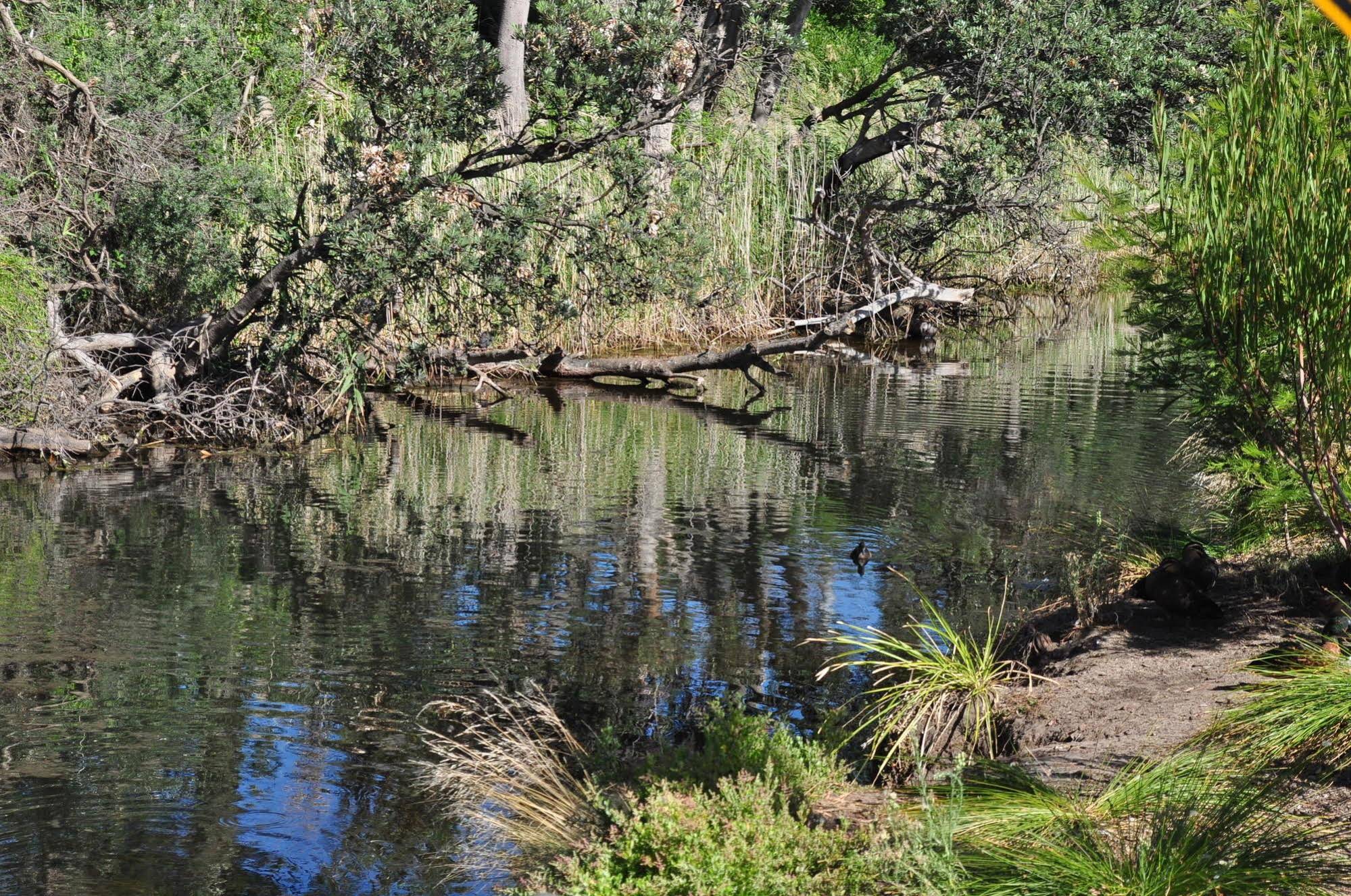 Sailaway Beach House