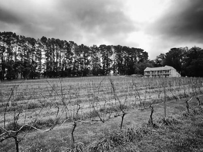 Mantons Creek Estate & Lodge