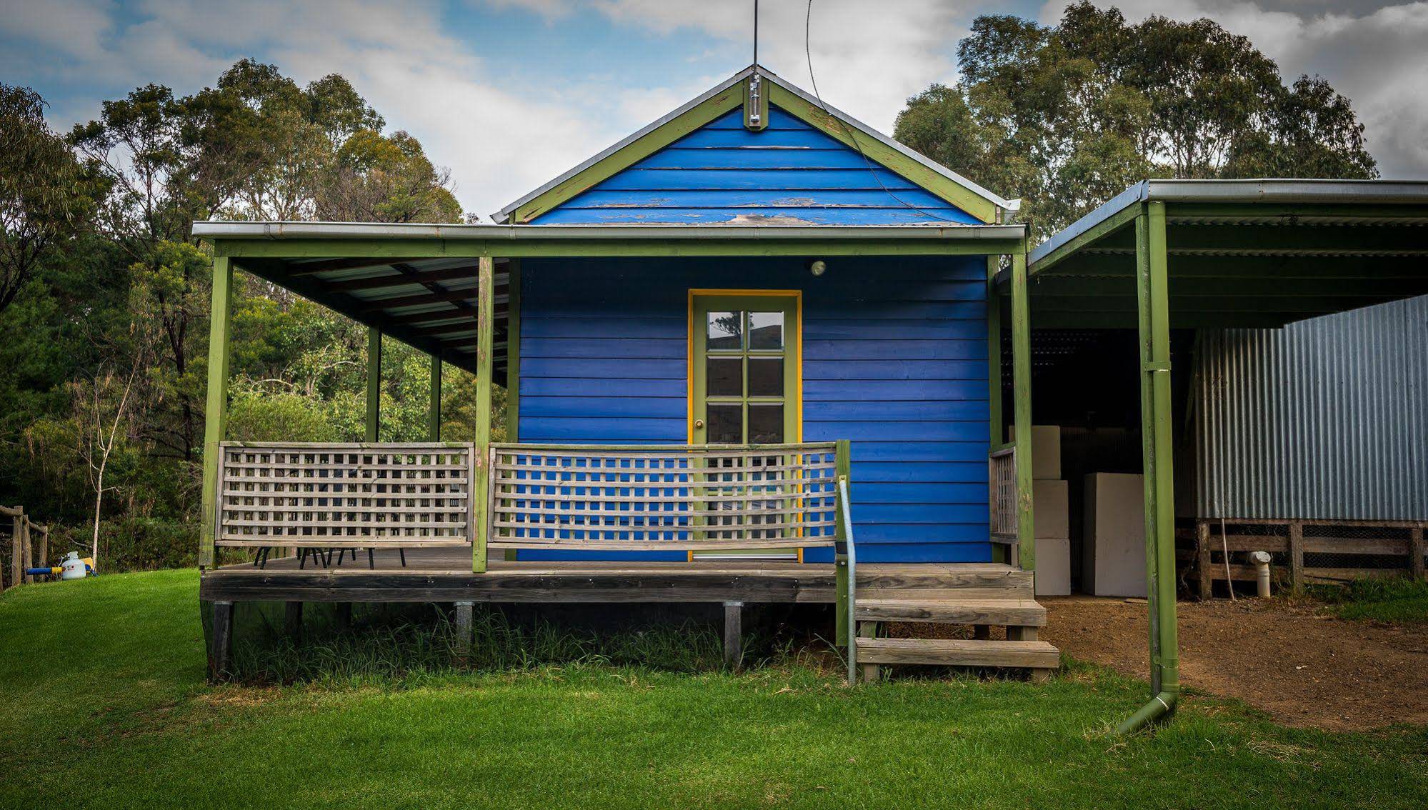 The Blue House