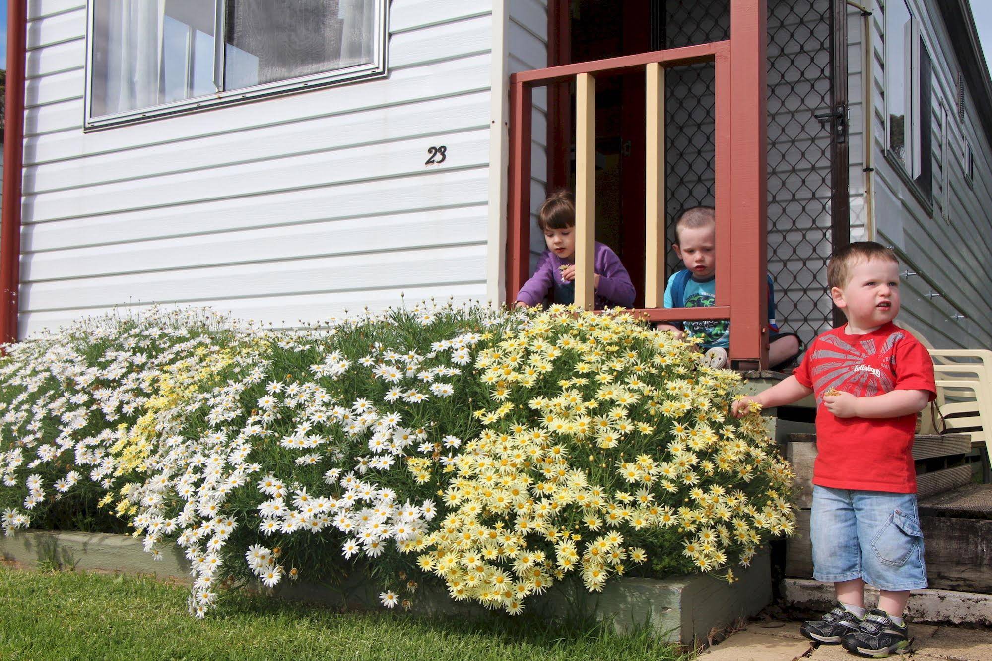 Warrnambool Holiday Park And Motel