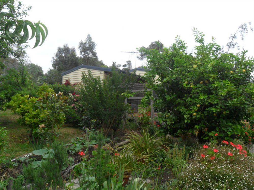 Australian Home Away @ Wonga Park Brushy Creek