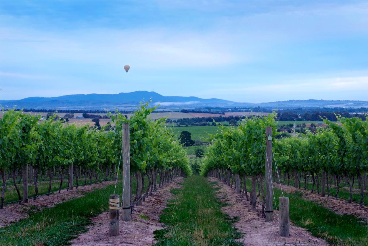 Balgownie Estate Vineyard Resort & Spa