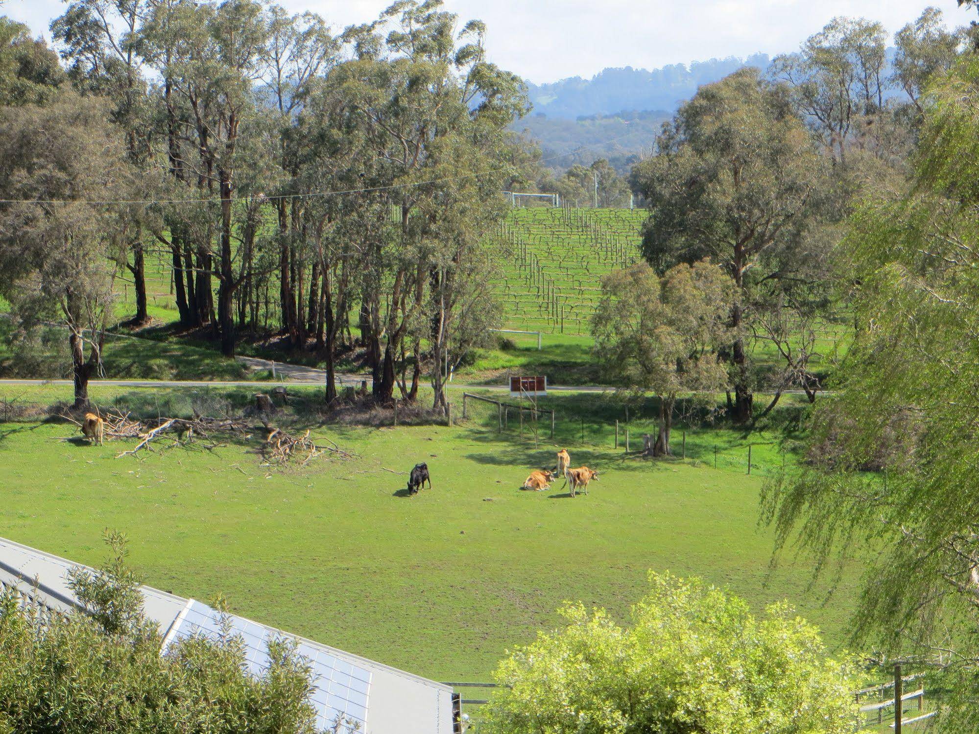 Honeyeater Cottage
