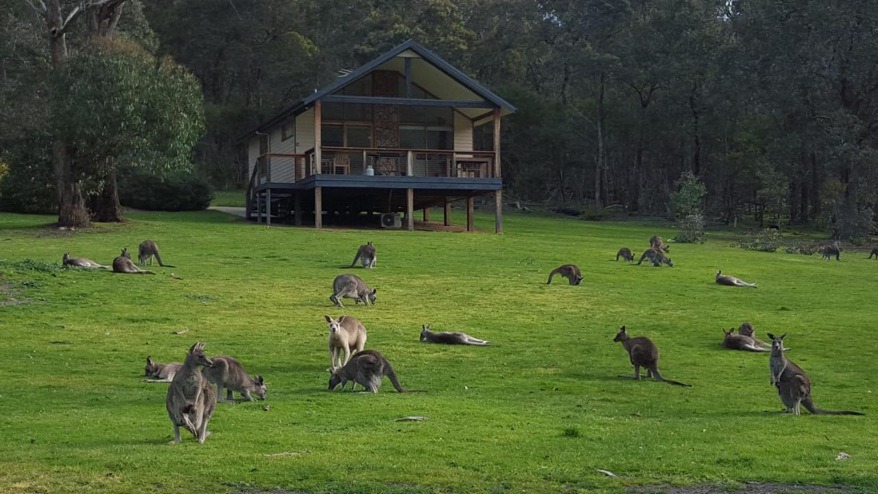 Yering Gorge Cottages