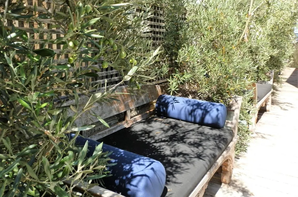 Sun Sand Sea and Salty Kisses Cottesloe beach house