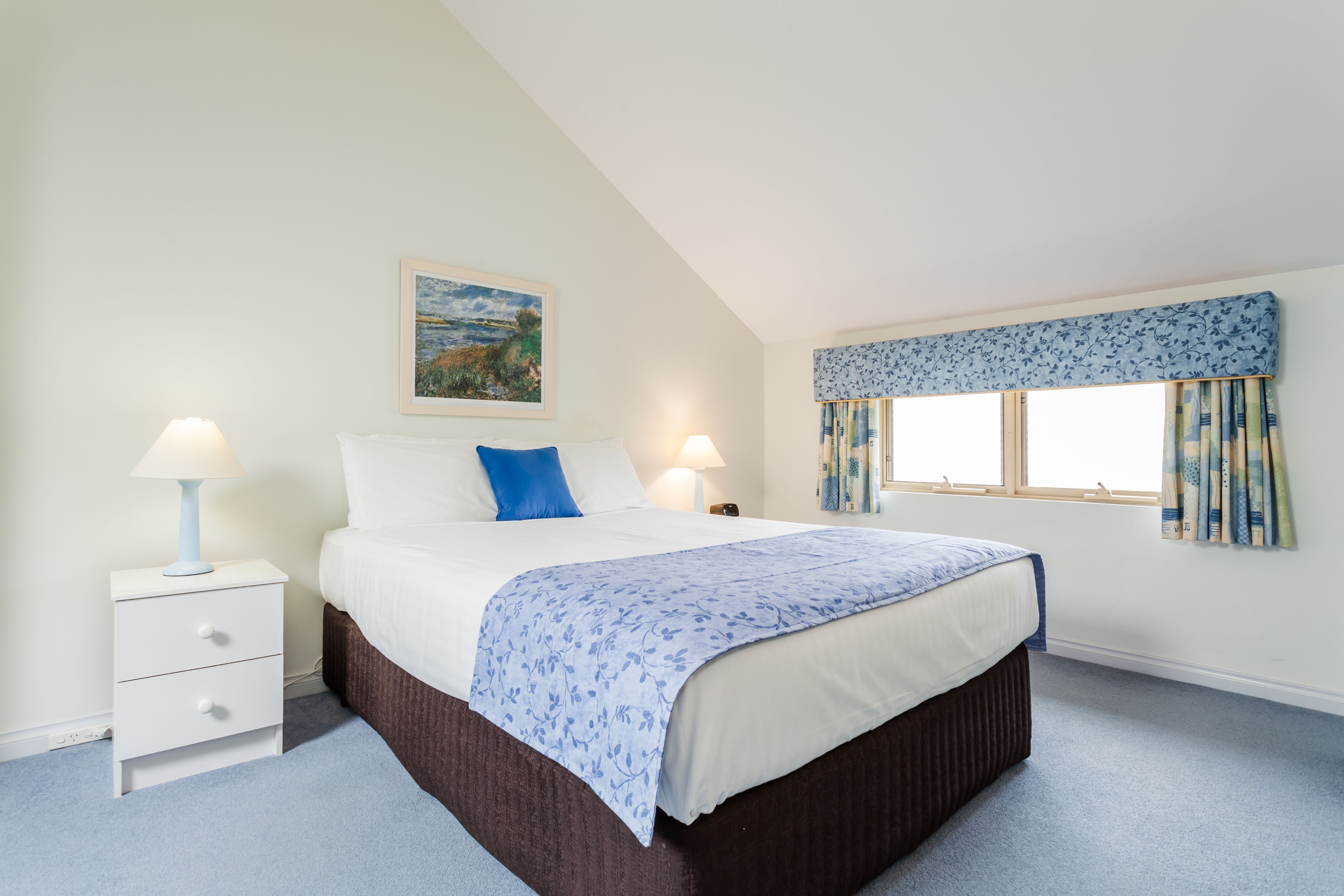 Banksia at Middleton