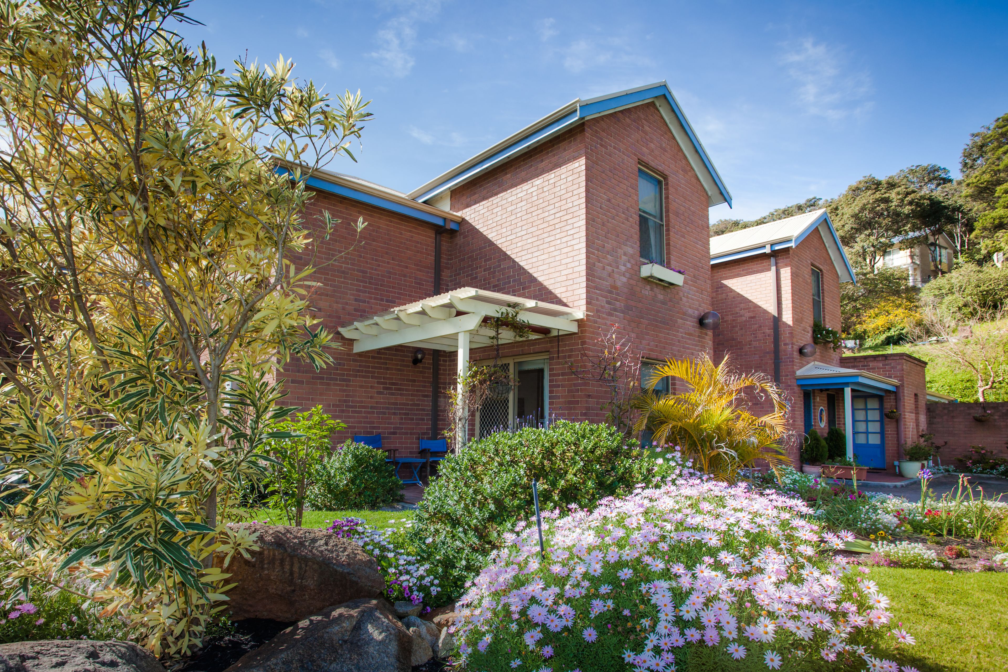 Banksia at Middleton