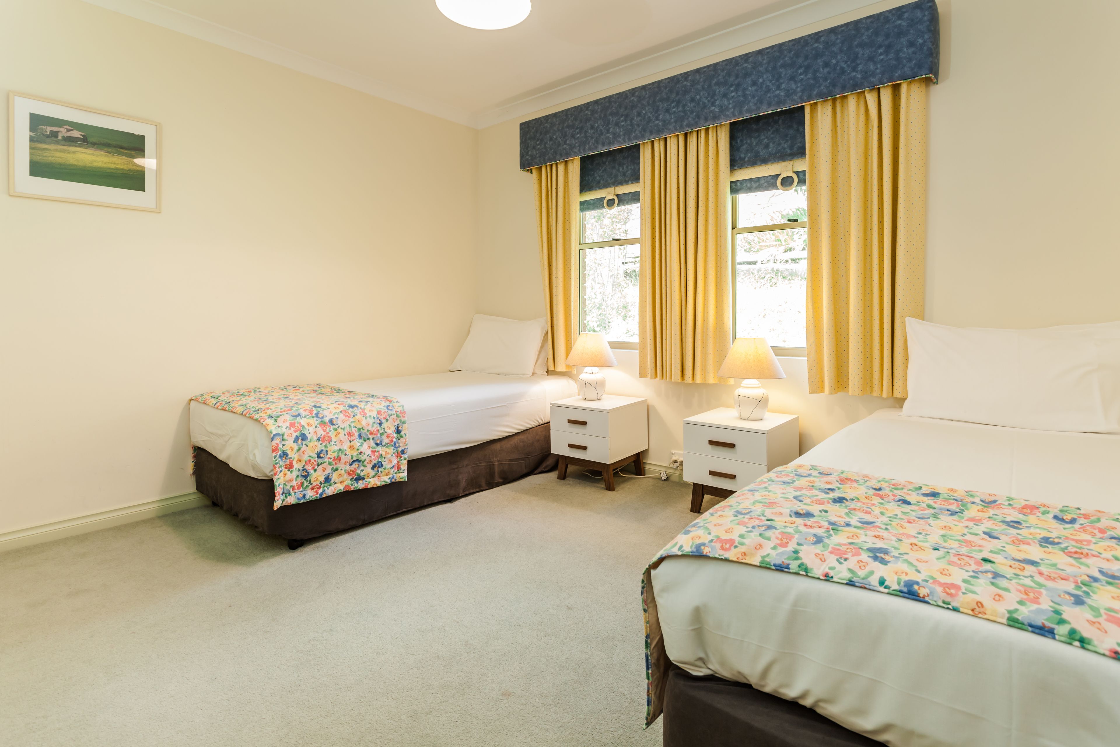 Banksia at Middleton