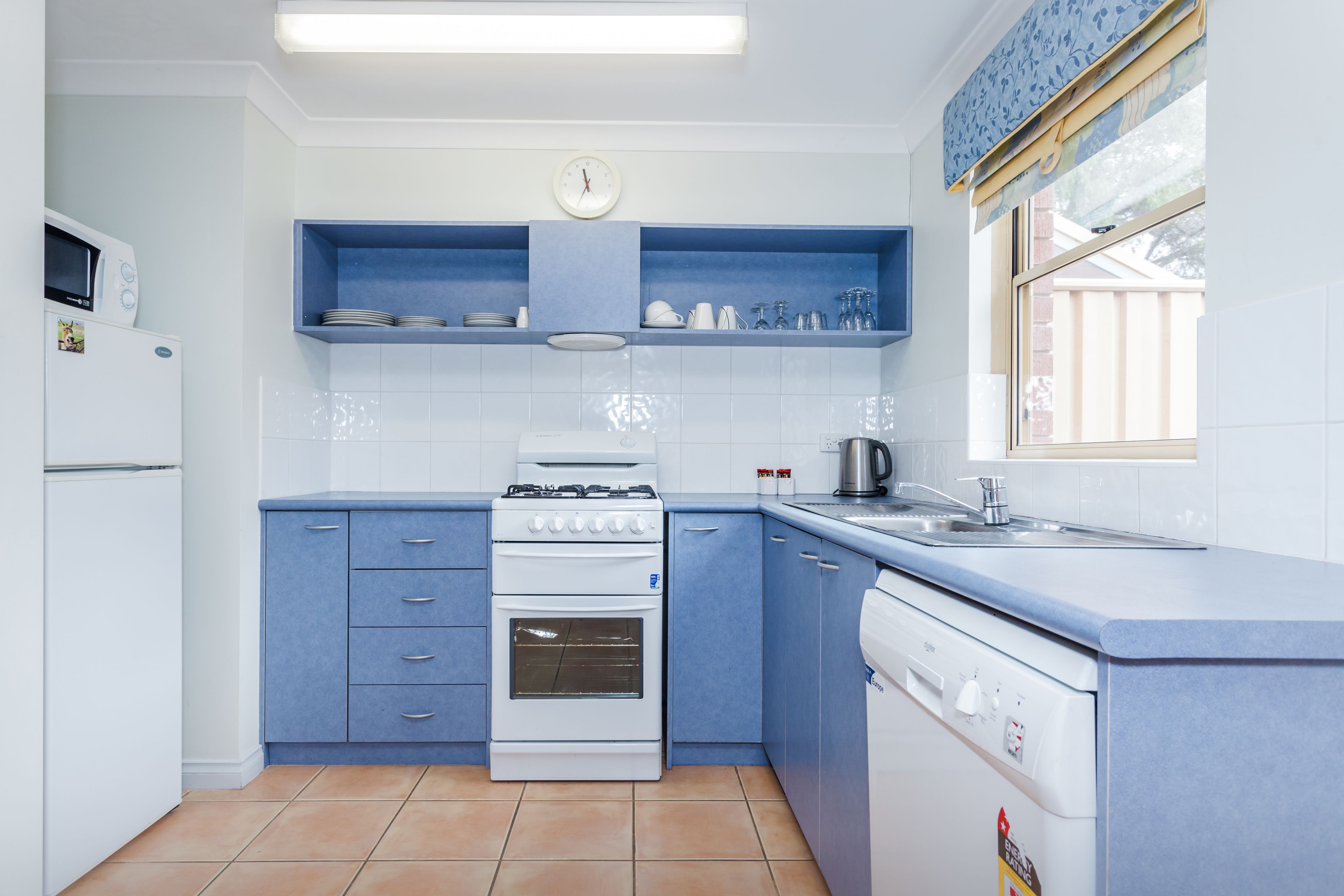 Banksia at Middleton