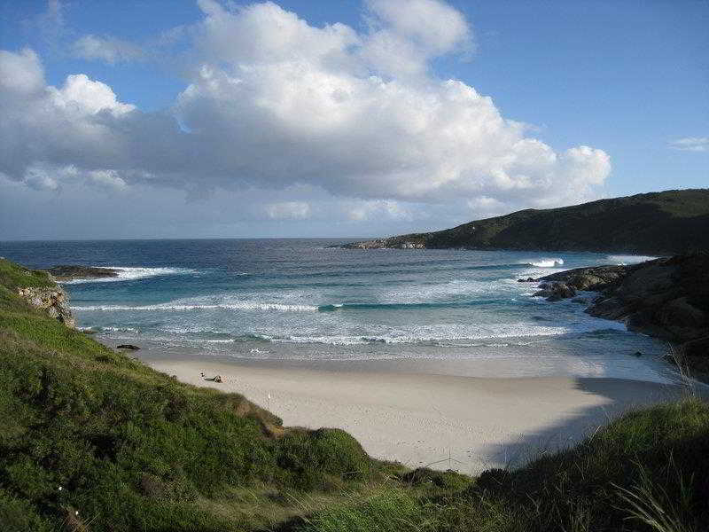 Albany Motel & Apartments