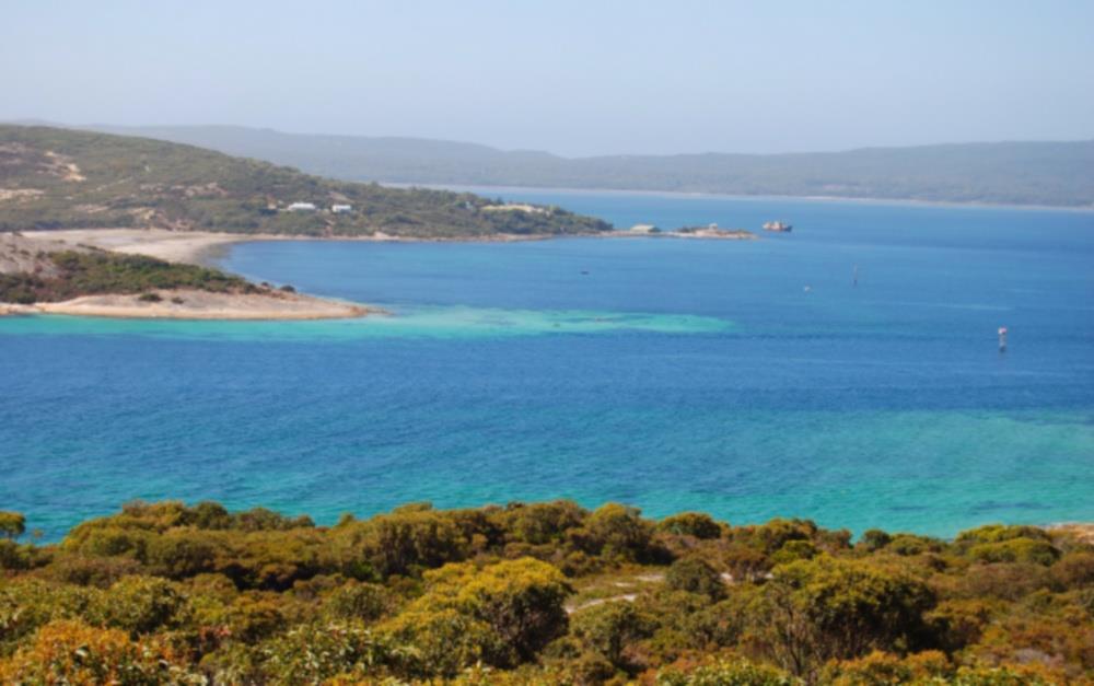 Albany Motel & Apartments