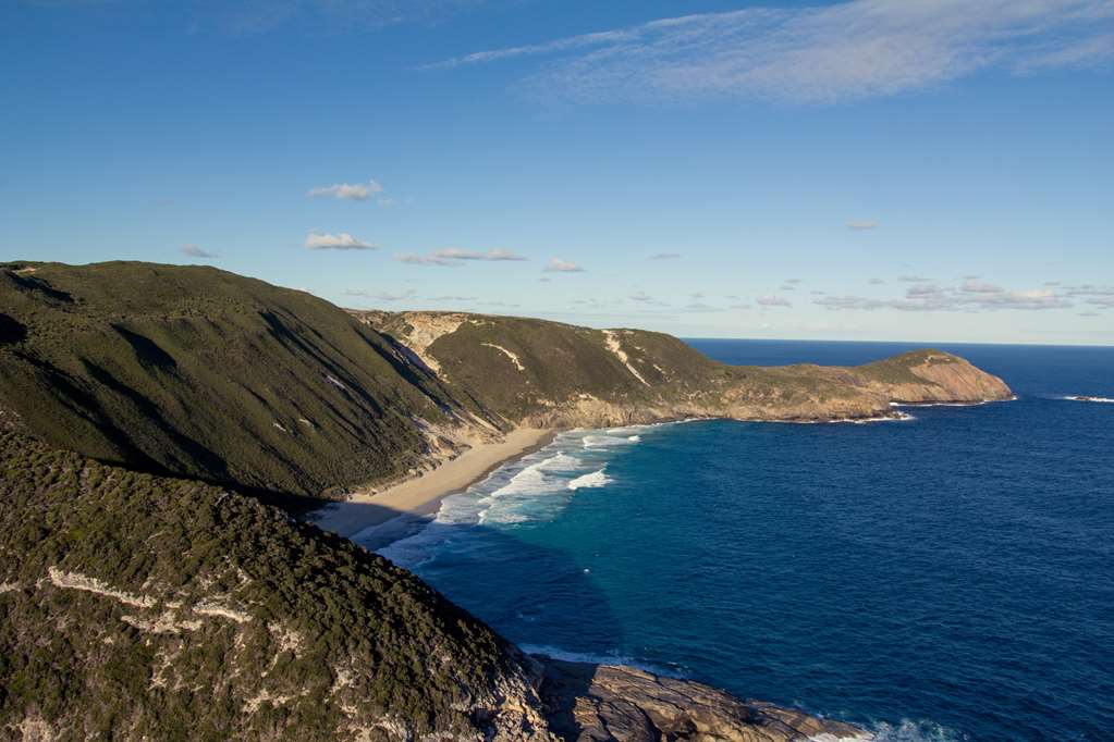 Albany Motel & Apartments
