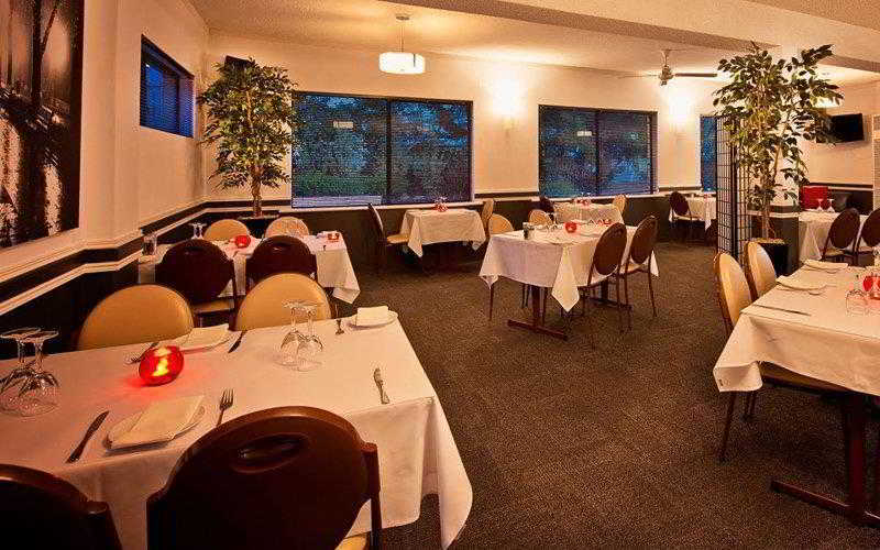 Albany Motel & Apartments