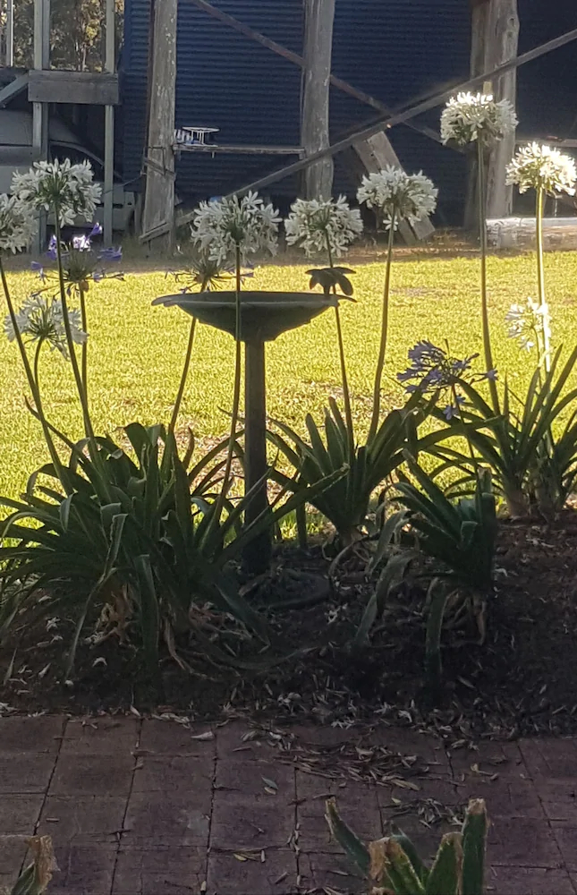 Redtail Ridge Cottages