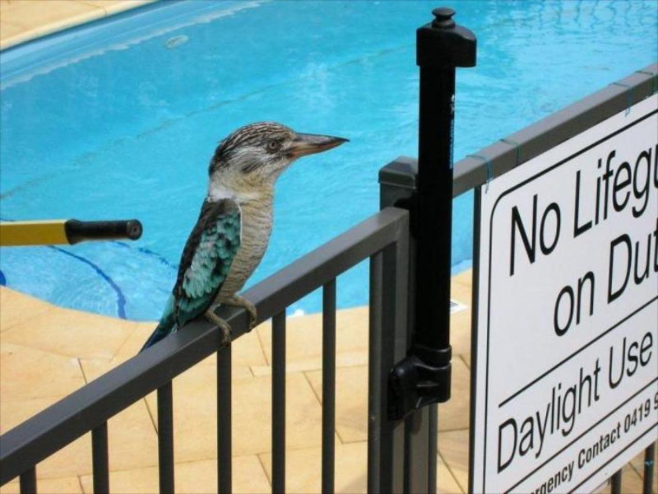 Reflections Bed & Breakfast