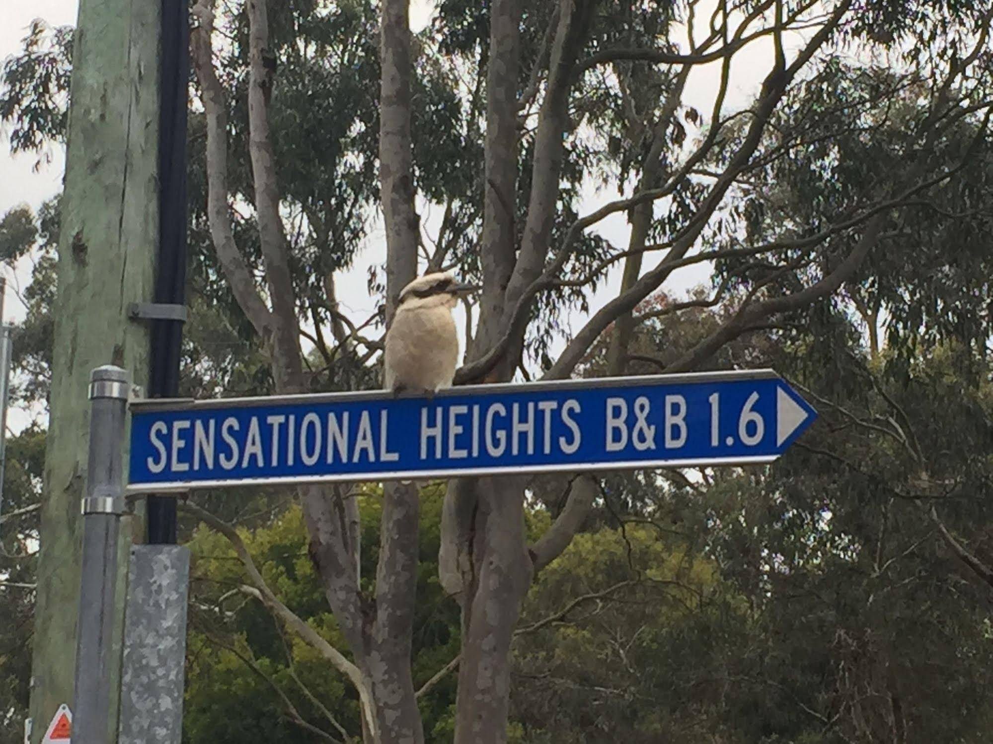 Sensational Heights Bed and Breakfast