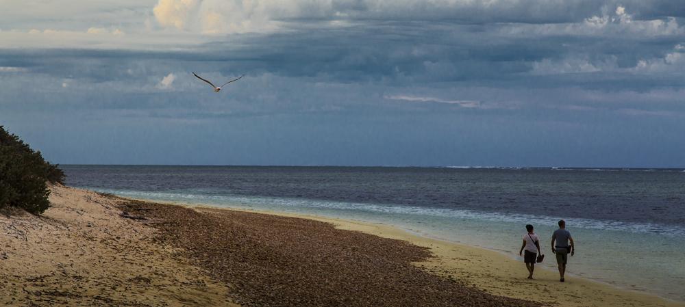 Sal Salis Ningaloo Reef