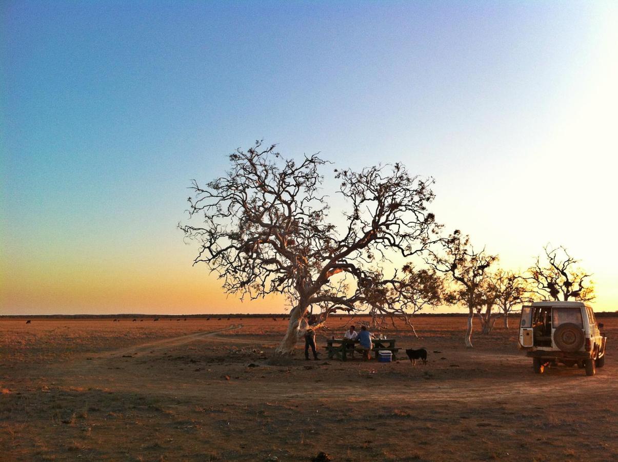 Wooleen Station