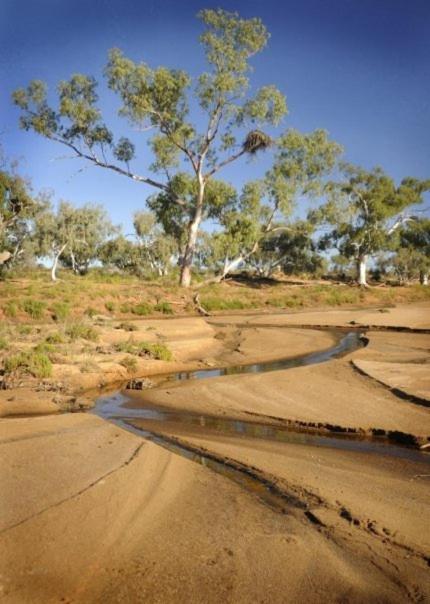 Wooleen Station