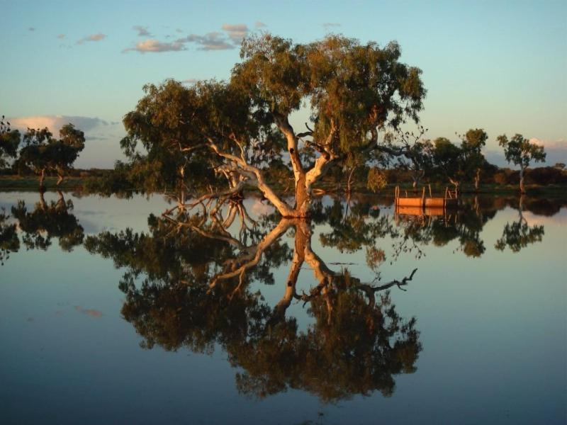 Wooleen Station
