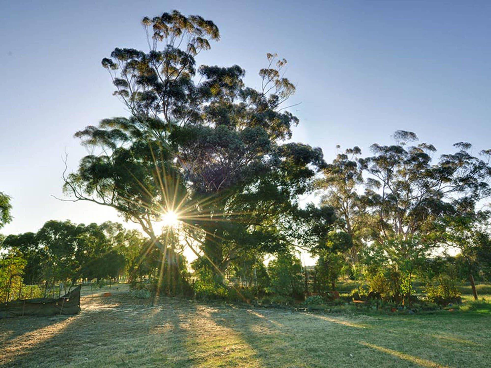 Armadale Farmstay Bed & Breakfast