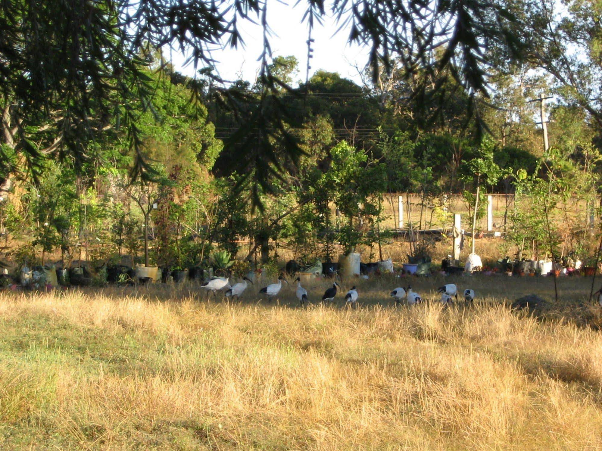 Armadale Farmstay Bed & Breakfast