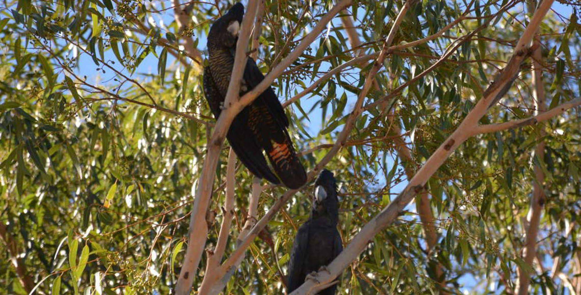 Armadale Farmstay Bed & Breakfast