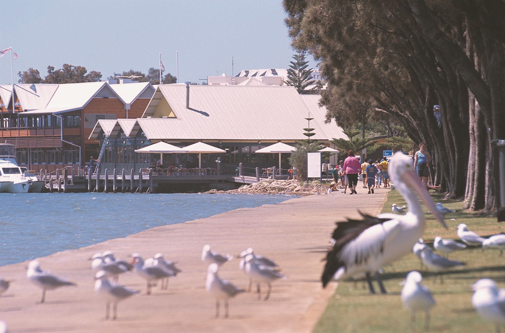 Atrium Resort Mandurah