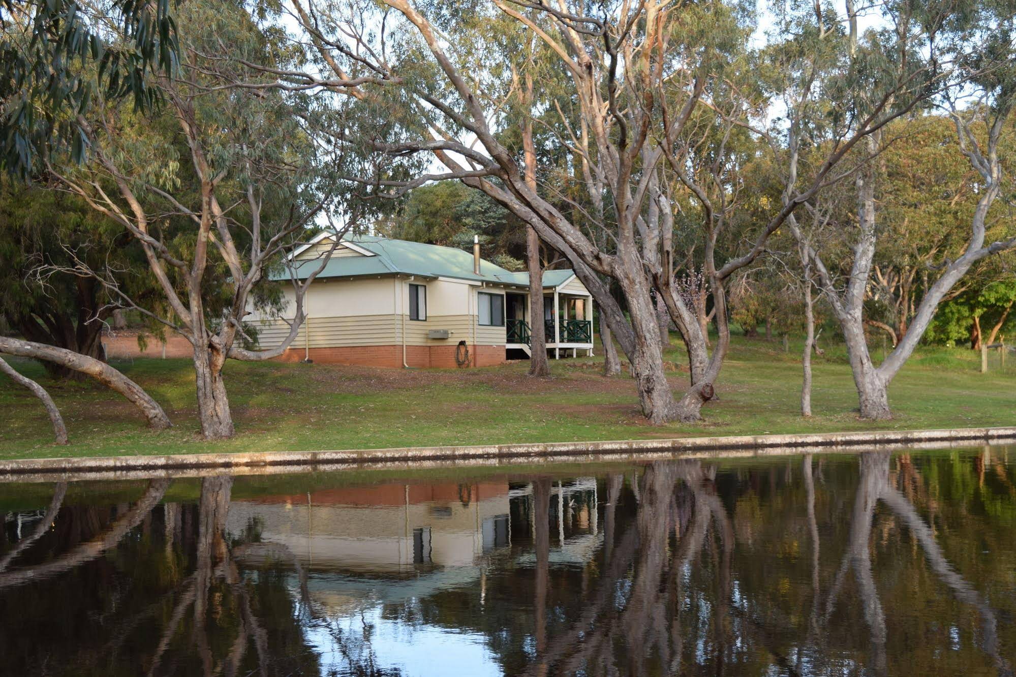 Bushy Lake Chalets