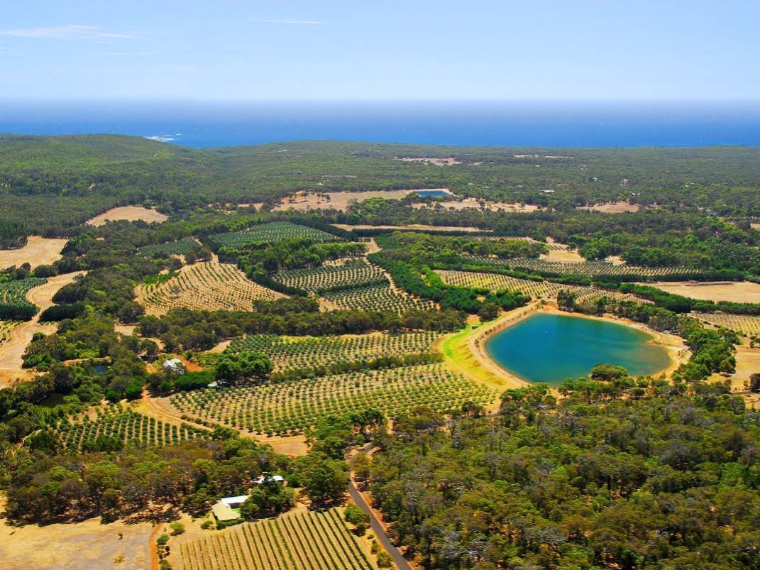 Harmony Forest Cottages