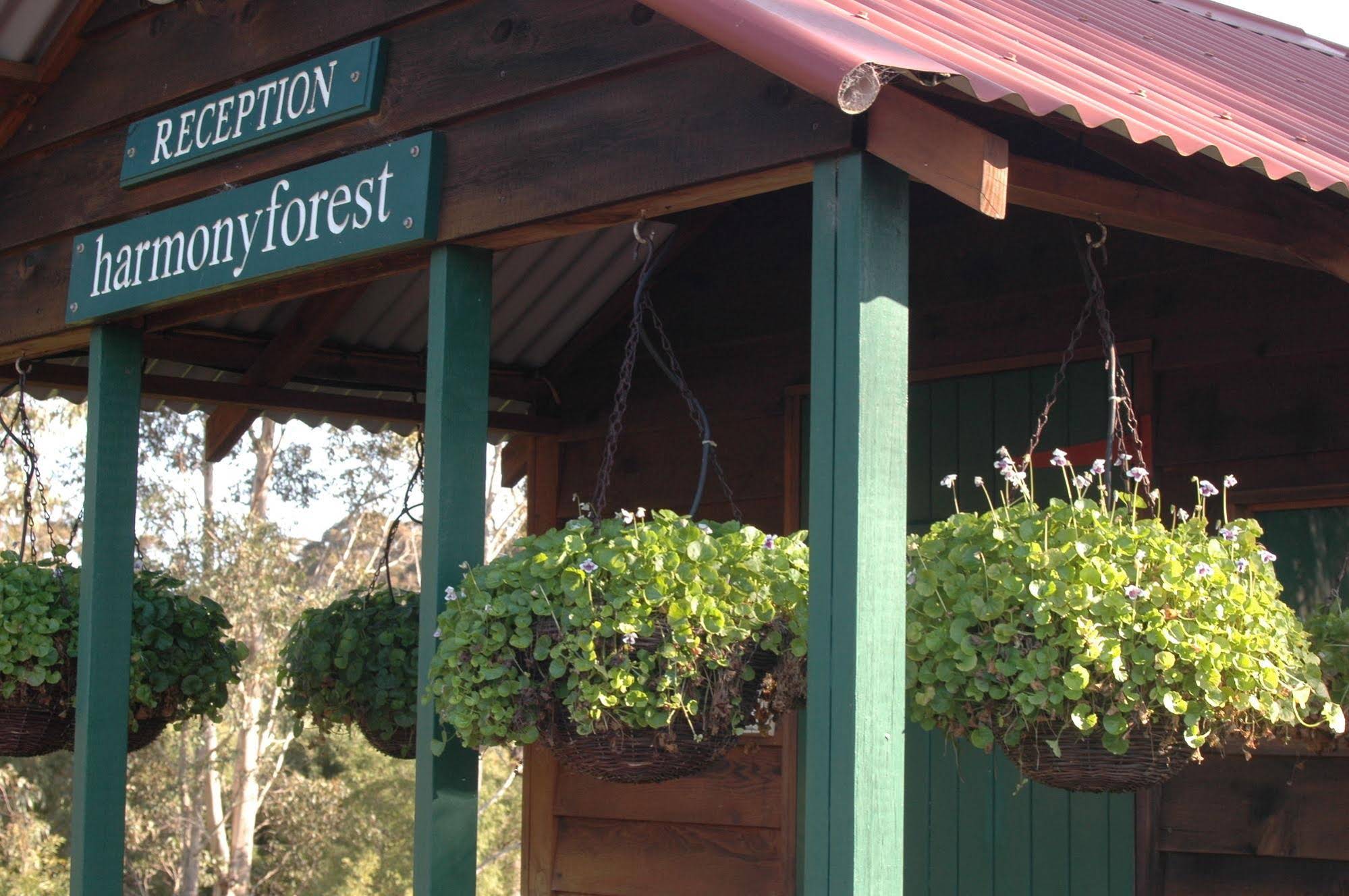 Harmony Forest Cottages