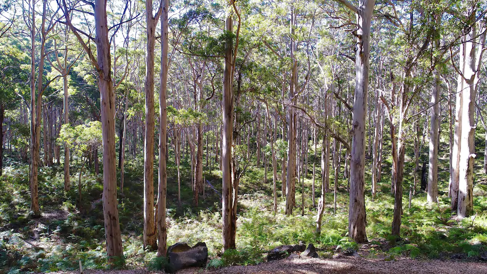 Margaret River Beach Apartments