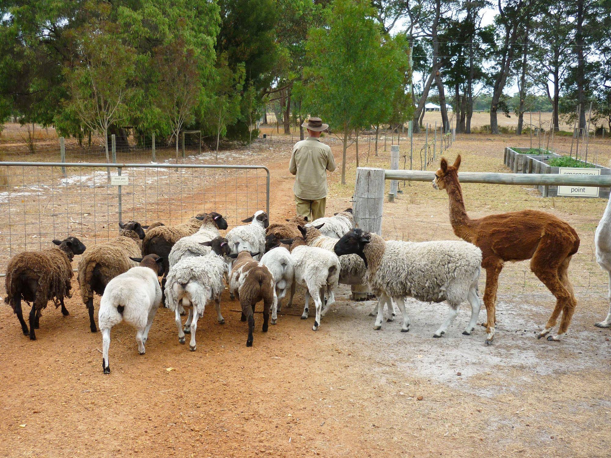 Margaret River Hideaway & Farmstay