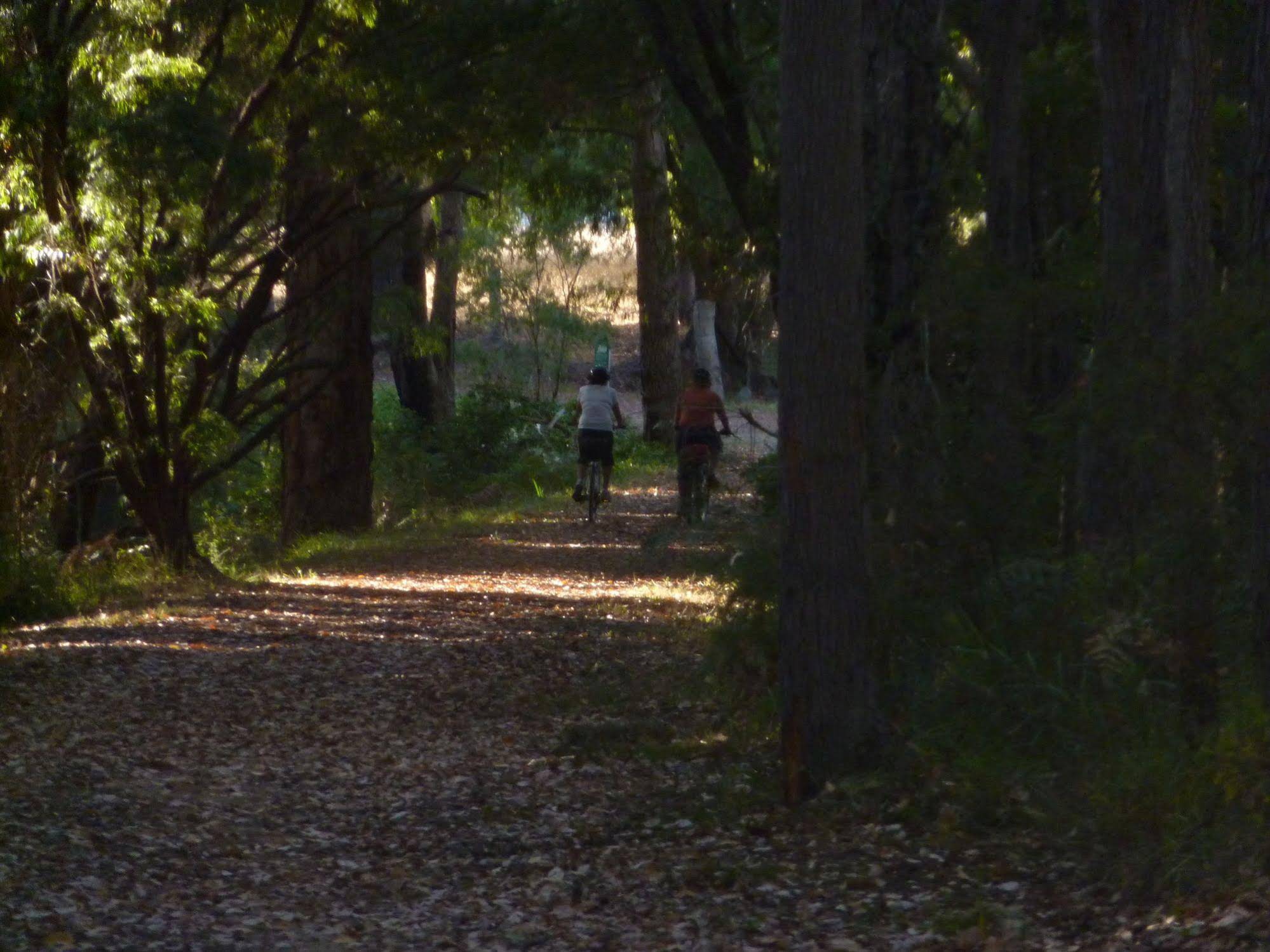 Margaret River Holiday Cottages