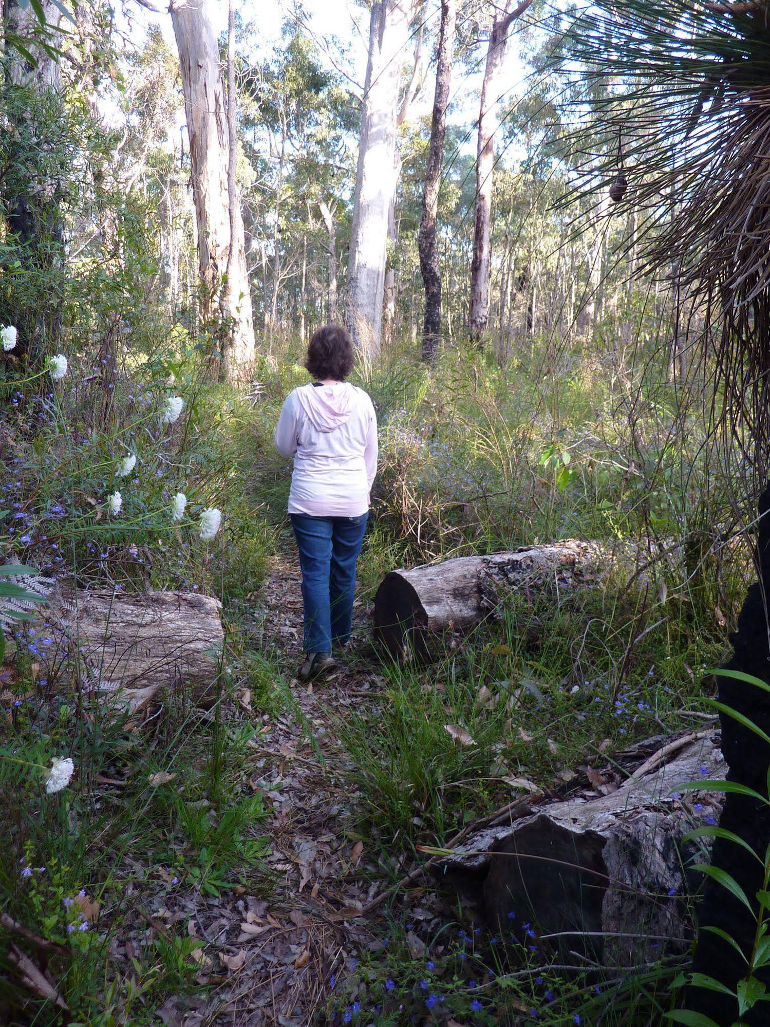 Margaret River Holiday Cottages