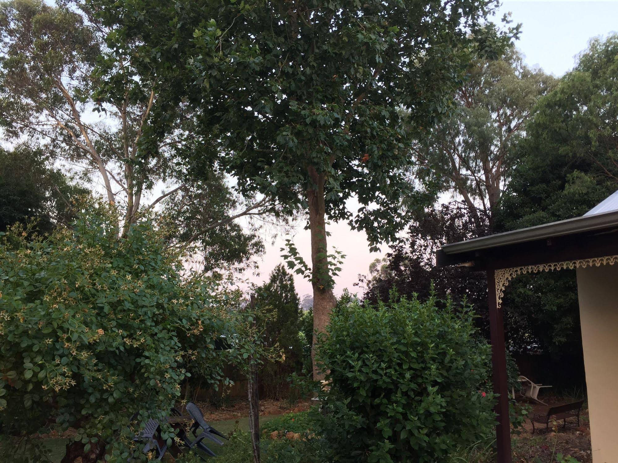 The Noble Grape Guesthouse