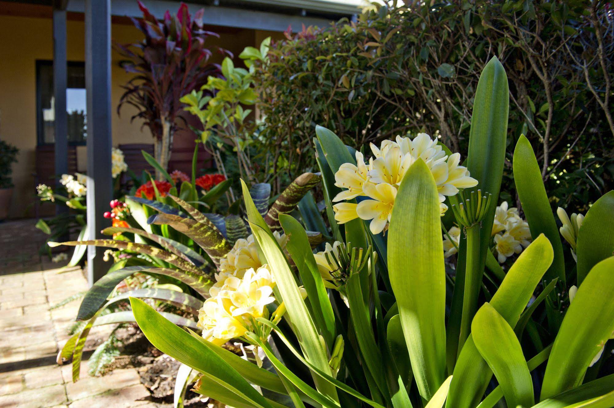 Vintages Accommodation