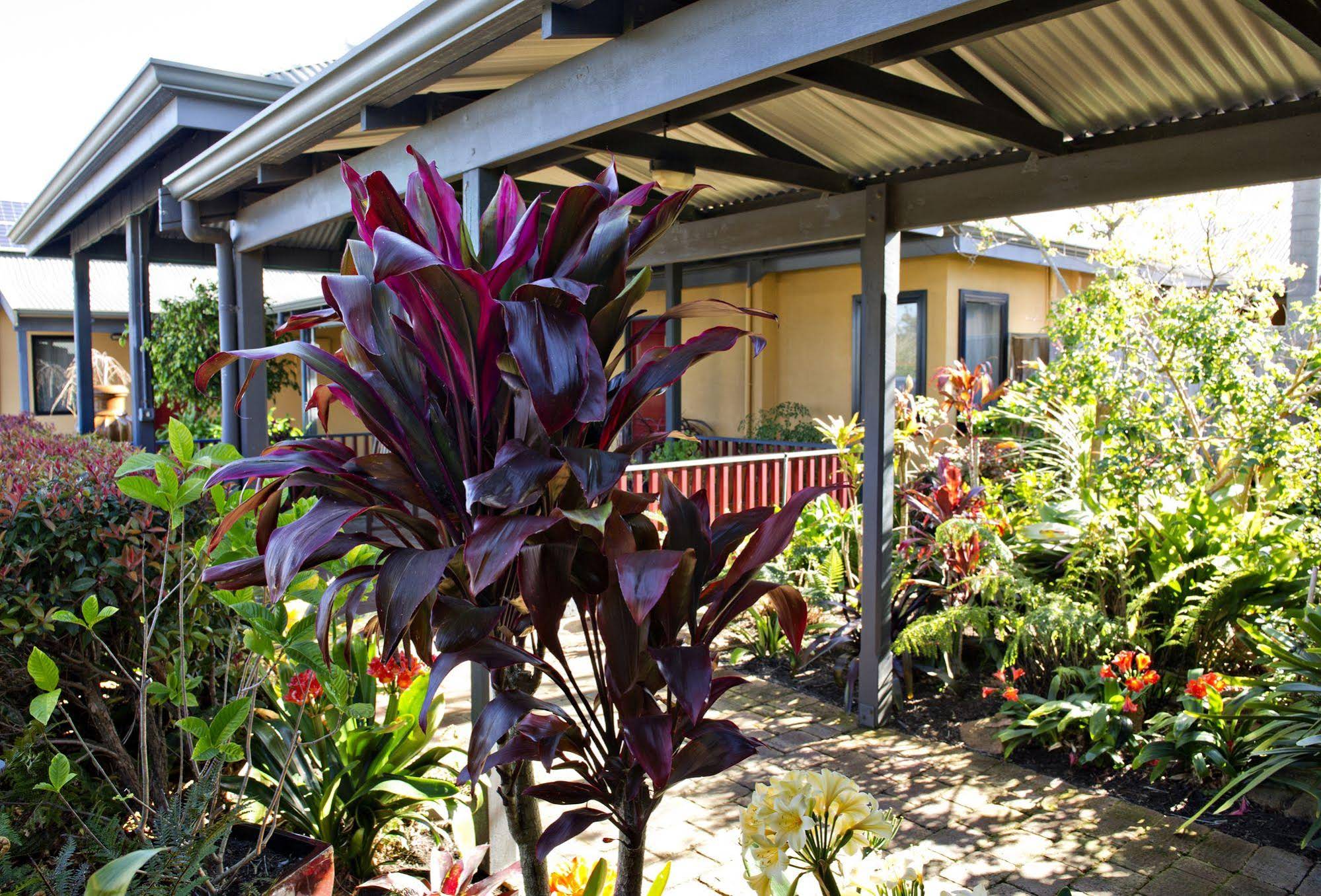 Vintages Accommodation