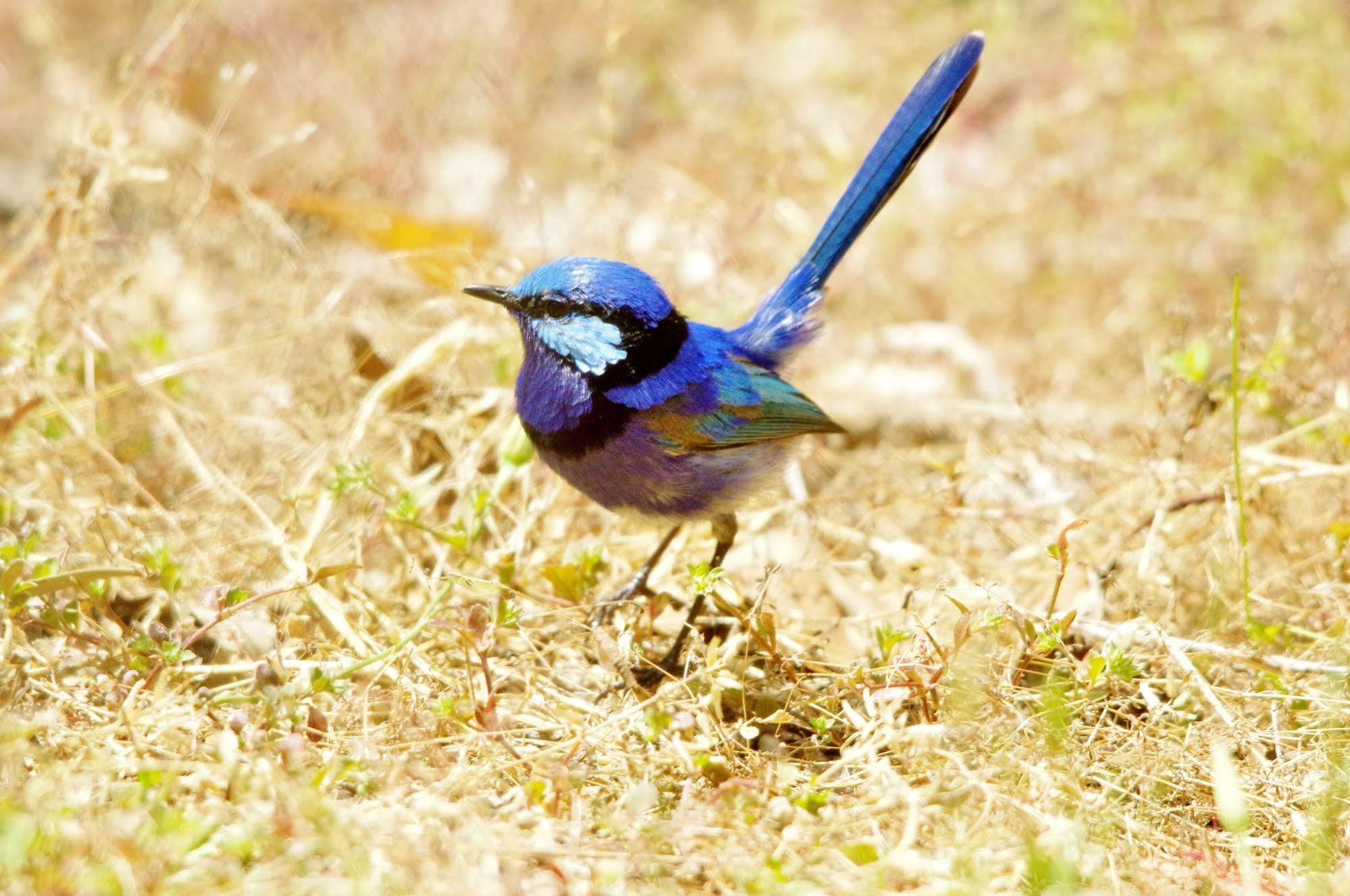 Yelverton brook Eco Spa Retreat & Conservation Sanctuary