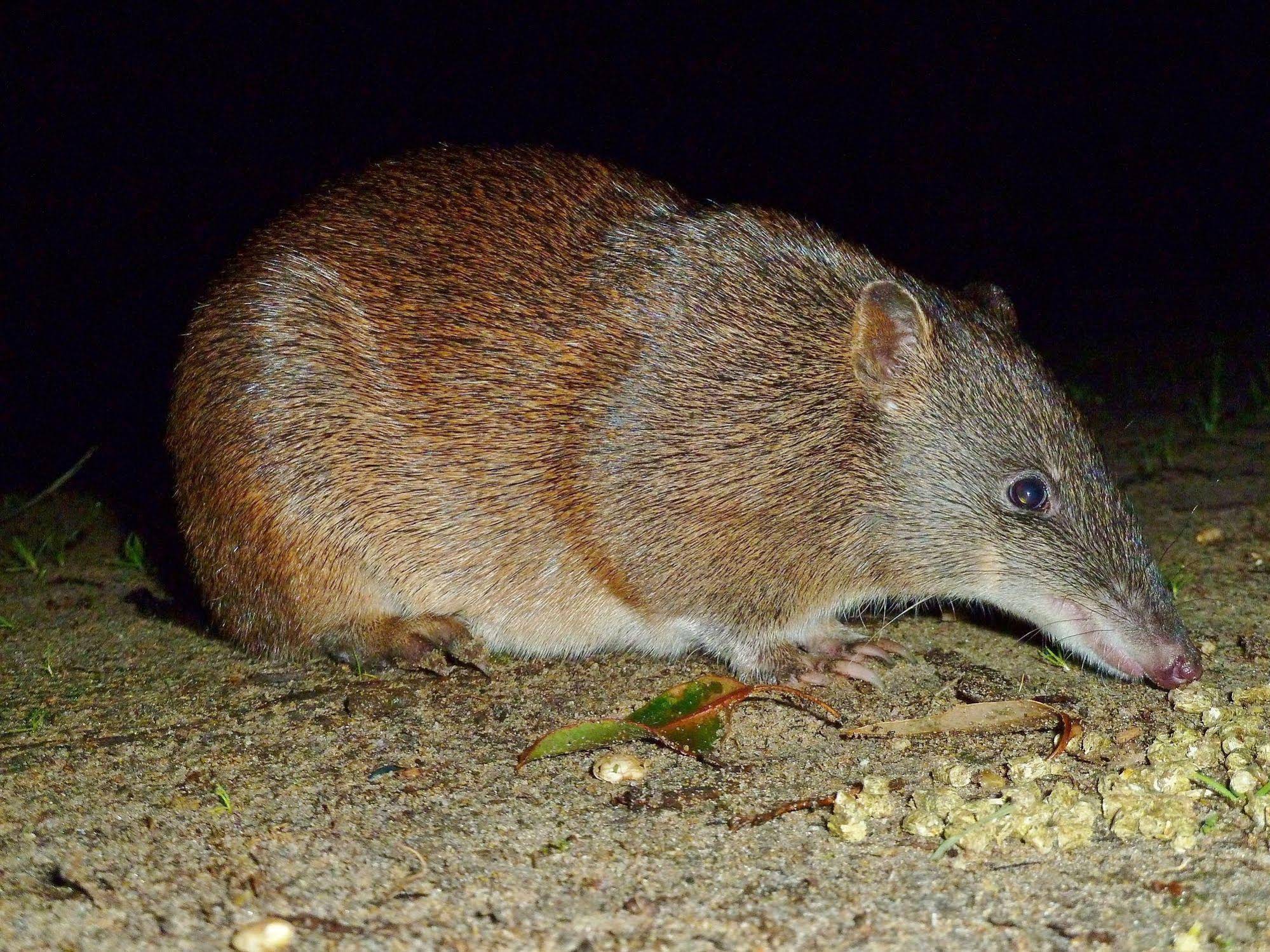 Yelverton brook Eco Spa Retreat & Conservation Sanctuary