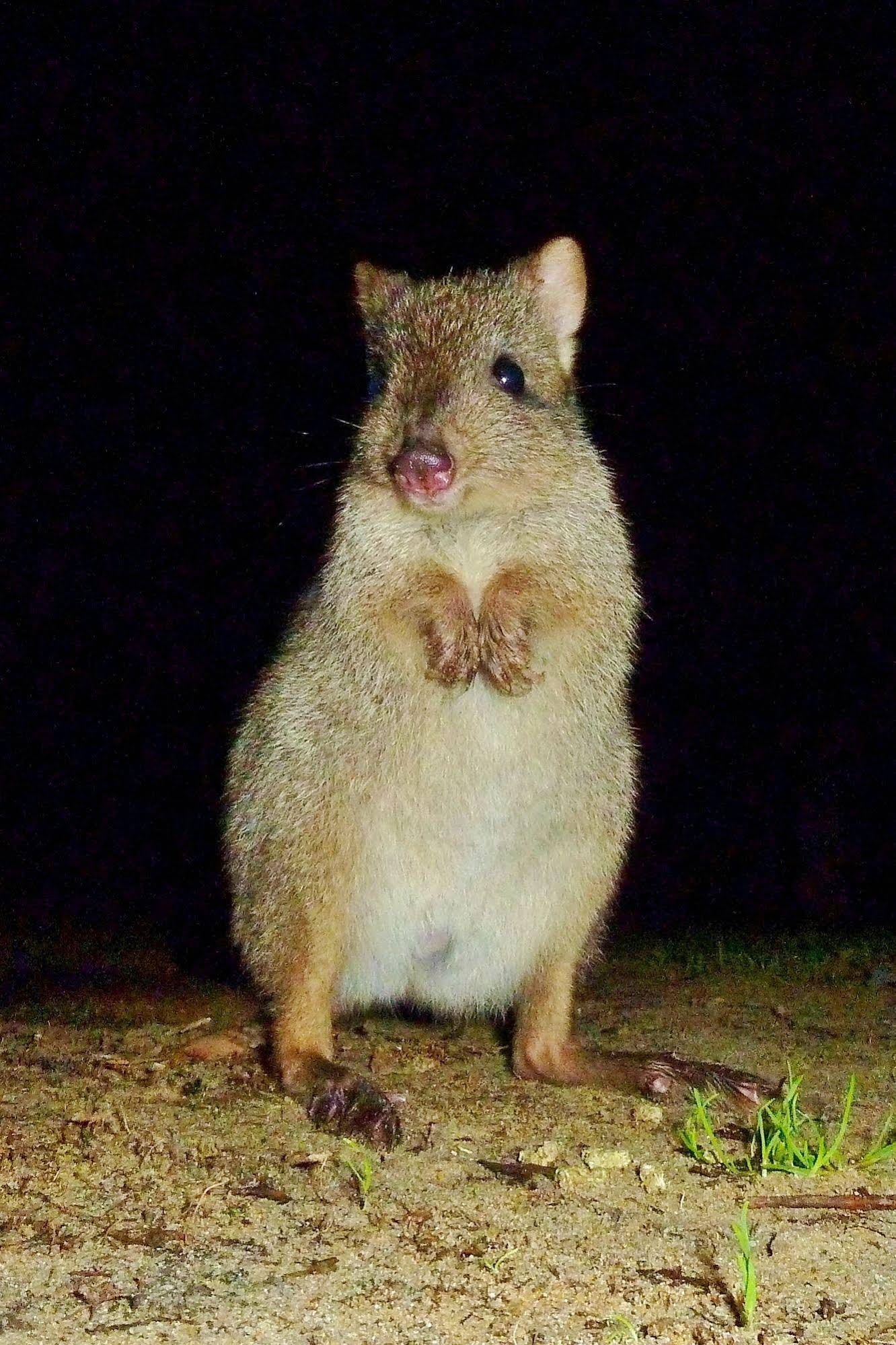Yelverton brook Eco Spa Retreat & Conservation Sanctuary