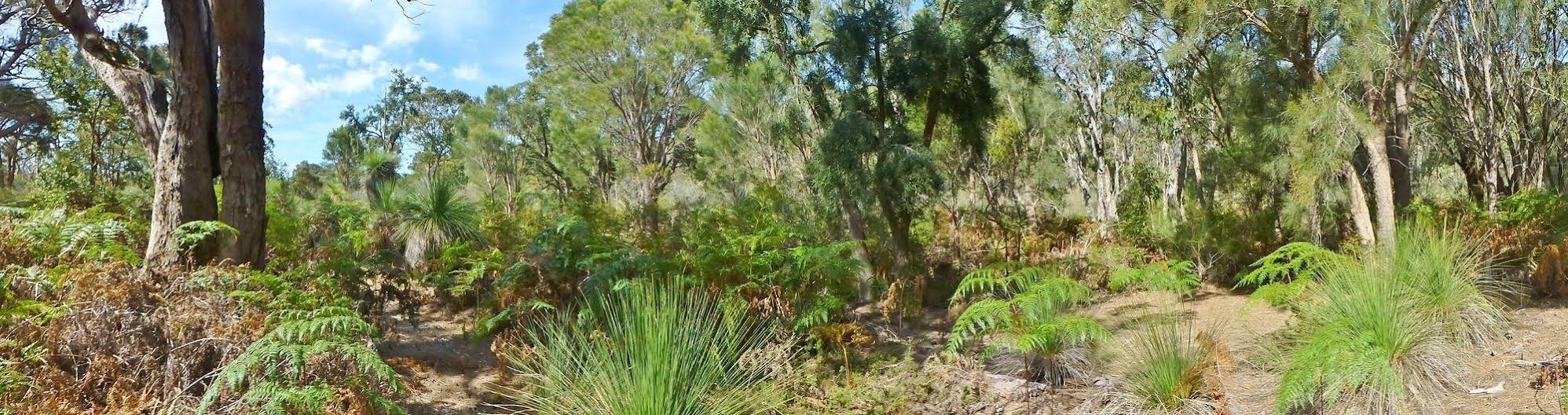 Yelverton brook Eco Spa Retreat & Conservation Sanctuary