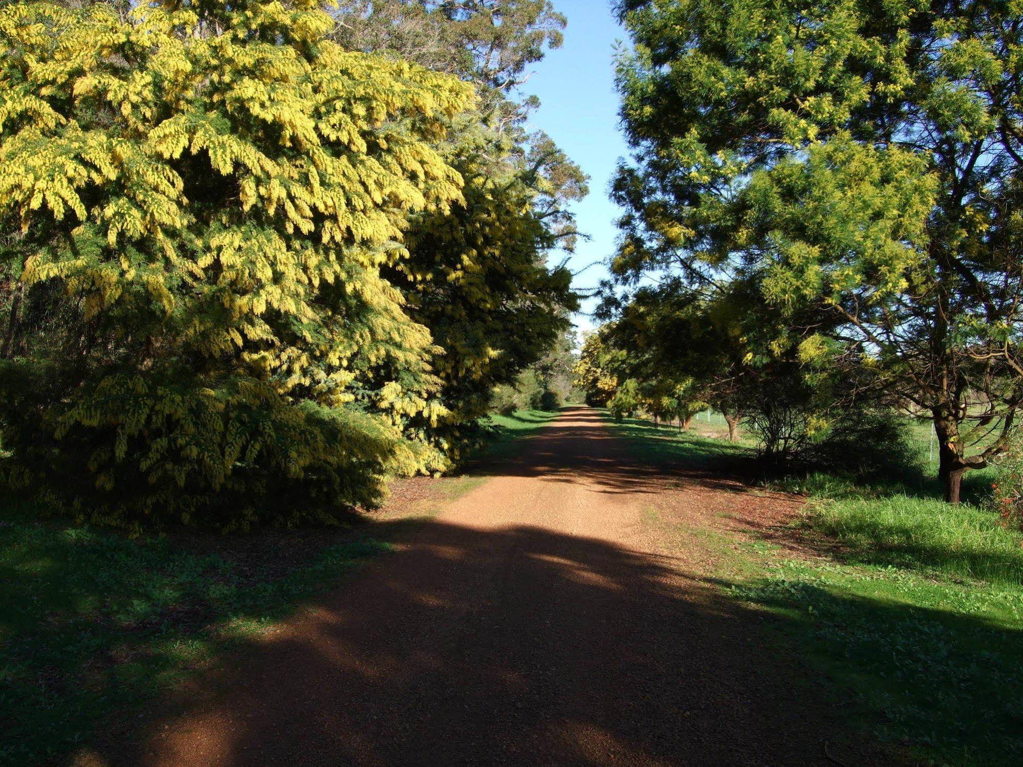 Mossbrook Country Estate Bed & Breakfast