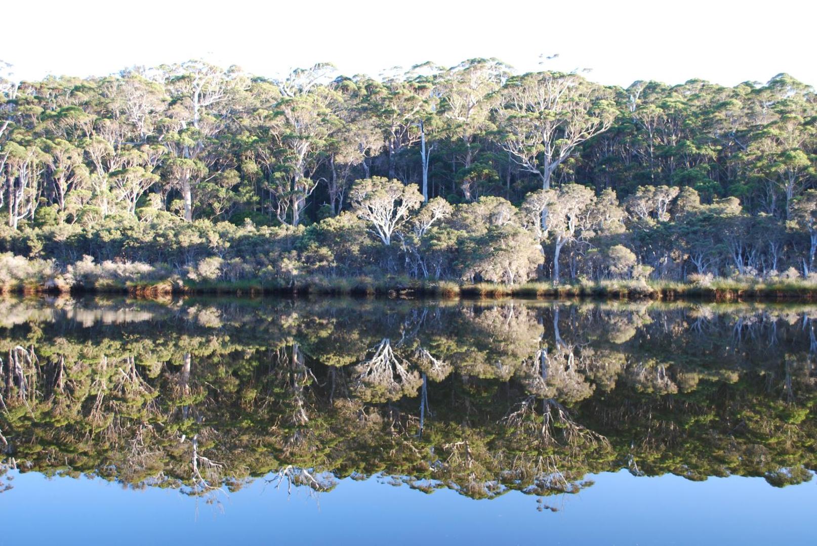 Nornalup Riverside Chalet