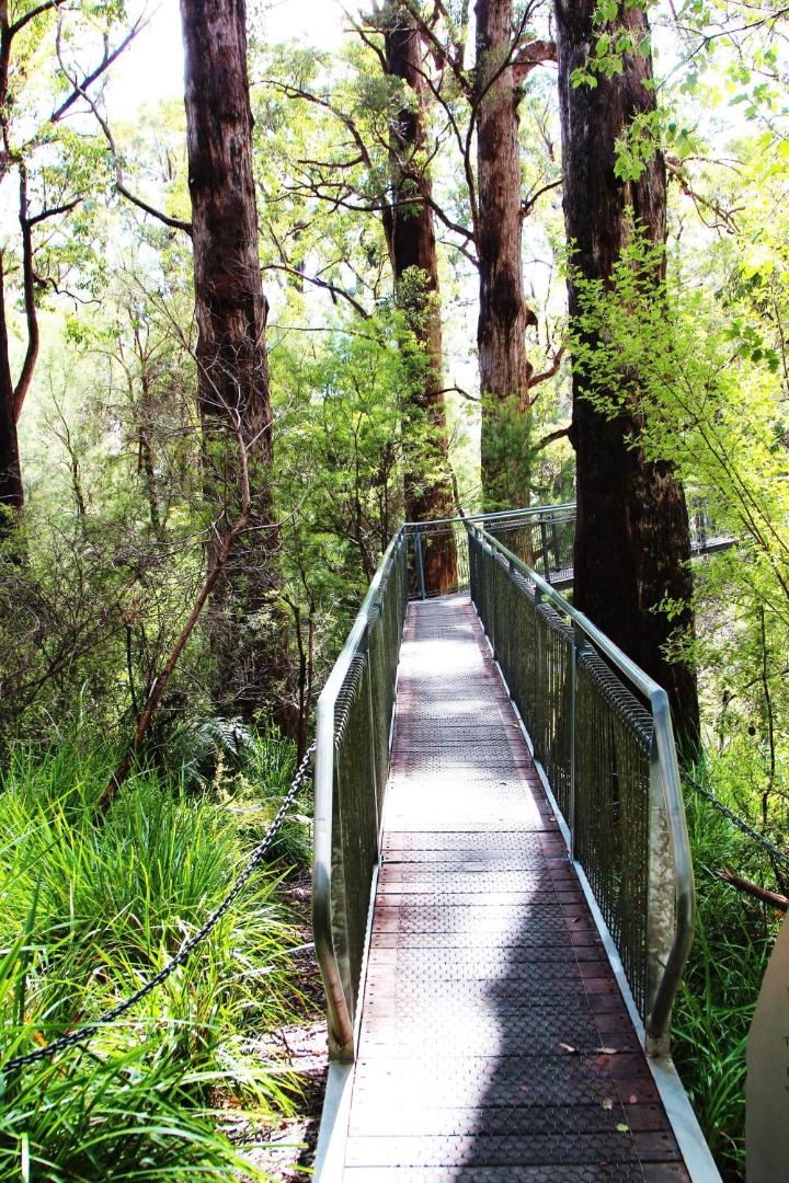 Nornalup Riverside Chalet