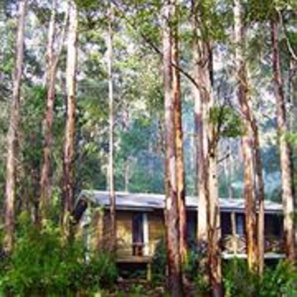 RAC Karri Valley Resort